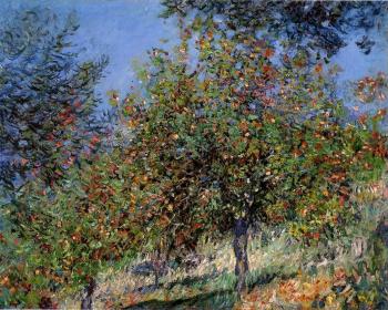 Claude Oscar Monet : Apple Trees on the Chantemesle Hill